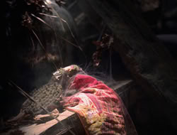 3x11-MaternalInstincts_001023