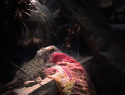 3x11-MaternalInstincts_001024