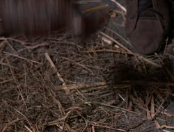 3x11-MaternalInstincts_001201