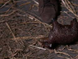 3x11-MaternalInstincts_001202