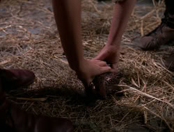 3x11-MaternalInstincts_001208