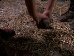 3x11-MaternalInstincts_001209