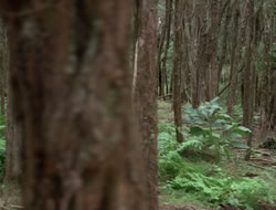 3x11-MaternalInstincts_001350