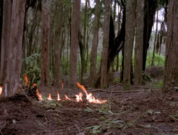 3x11-MaternalInstincts_001361