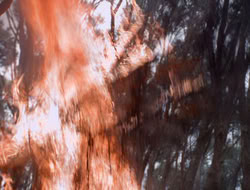 3x11-MaternalInstincts_001375