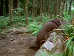 3x11-MaternalInstincts_001427