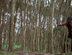 3x11-MaternalInstincts_001468