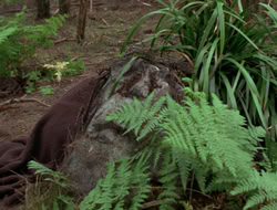 3x11-MaternalInstincts_001496