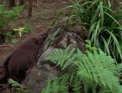 3x11-MaternalInstincts_001497