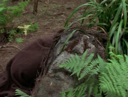 3x11-MaternalInstincts_001498