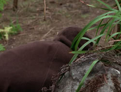 3x11-MaternalInstincts_001506