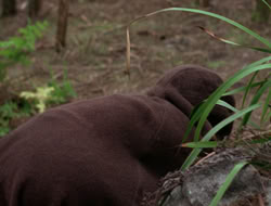 3x11-MaternalInstincts_001507