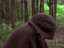 3x11-MaternalInstincts_001511