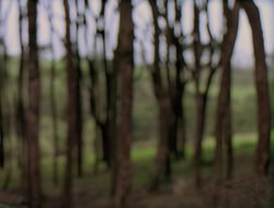 3x11-MaternalInstincts_001553