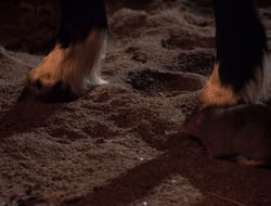 3x11-MaternalInstincts_001579