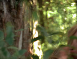 3x11-MaternalInstincts_001640