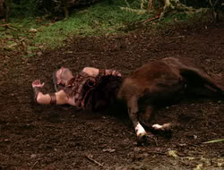 3x11-MaternalInstincts_001644