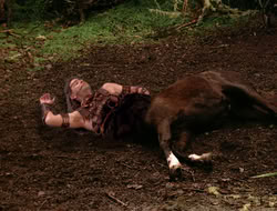 3x11-MaternalInstincts_001645