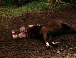 3x11-MaternalInstincts_001648