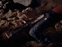 3x11-MaternalInstincts_001889