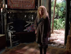 3x11-MaternalInstincts_002035