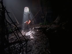 3x11-MaternalInstincts_002539
