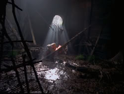 3x11-MaternalInstincts_002541