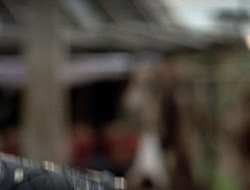 3x11-MaternalInstincts_003058