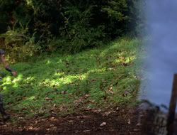 3x11-MaternalInstincts_003100