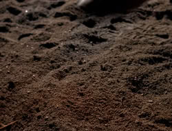 3x11-MaternalInstincts_003322