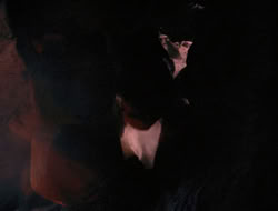 3x11-MaternalInstincts_003358
