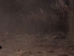 3x11-MaternalInstincts_003365