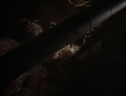 3x11-MaternalInstincts_003368