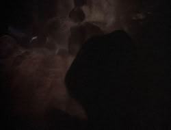3x11-MaternalInstincts_003438