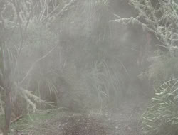 3x11-MaternalInstincts_003489
