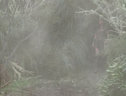 3x11-MaternalInstincts_003490