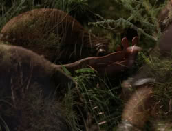3x11-MaternalInstincts_003516