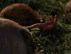 3x11-MaternalInstincts_003517