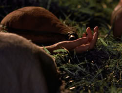 3x11-MaternalInstincts_003519