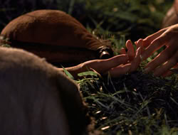 3x11-MaternalInstincts_003522