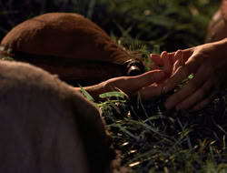 3x11-MaternalInstincts_003523