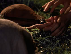 3x11-MaternalInstincts_003524