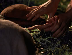 3x11-MaternalInstincts_003525
