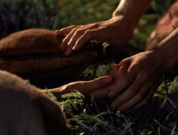 3x11-MaternalInstincts_003527