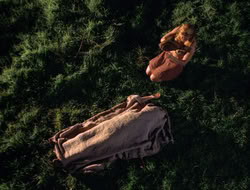 3x11-MaternalInstincts_003554