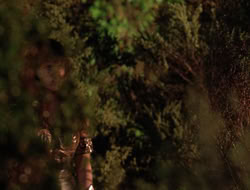 3x11-MaternalInstincts_003572