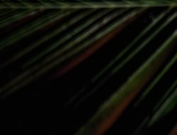 3x12-TheBitterSuite_000214