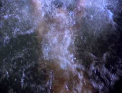 3x12-TheBitterSuite_000858