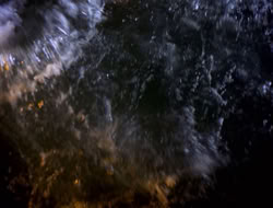 3x12-TheBitterSuite_001304