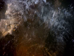 3x12-TheBitterSuite_001309